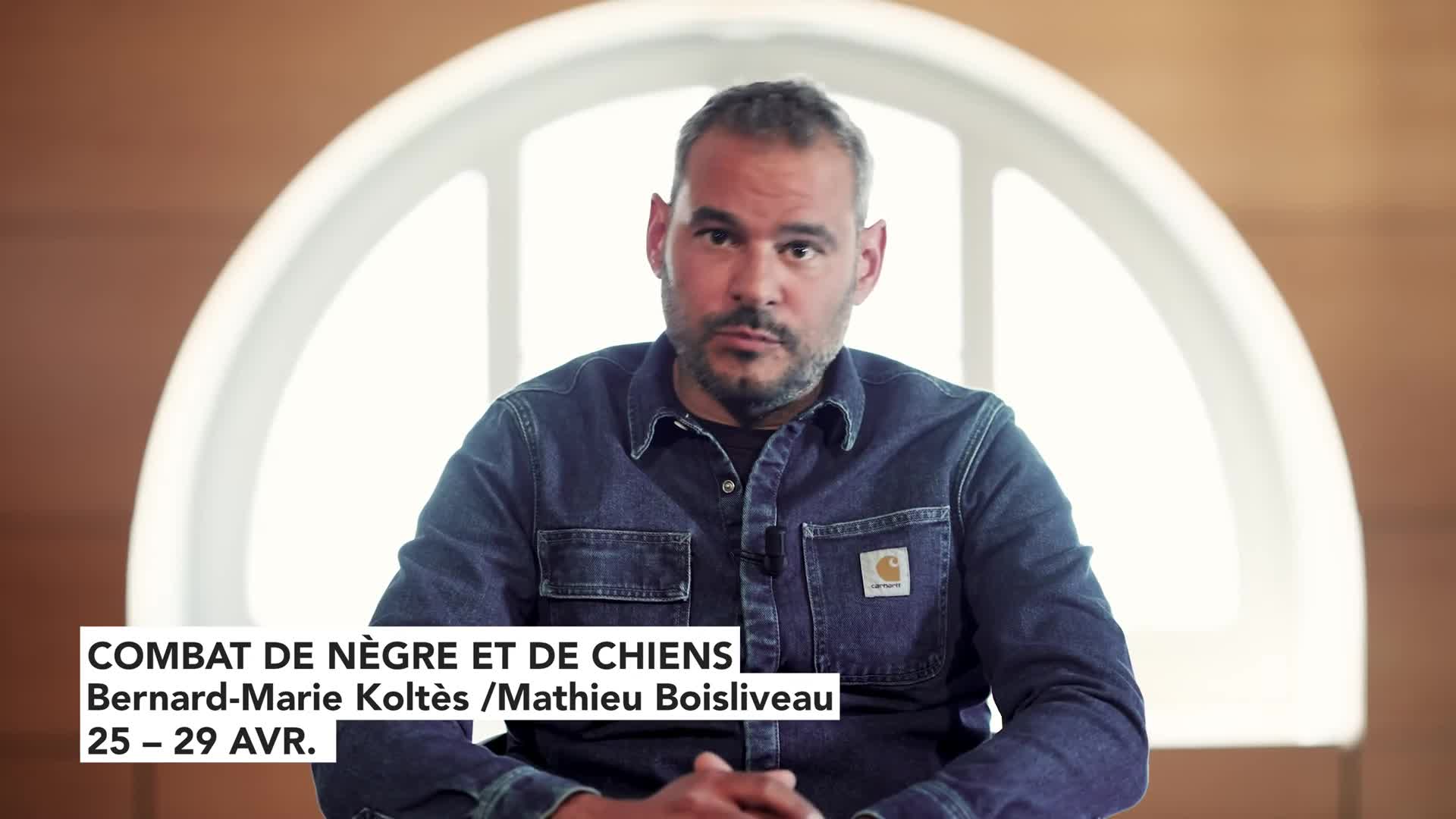 Vidéo "Combat de nègre et de chiens" - Bernard-Marie Koltès/Mathieu Boisliveau - Présentation